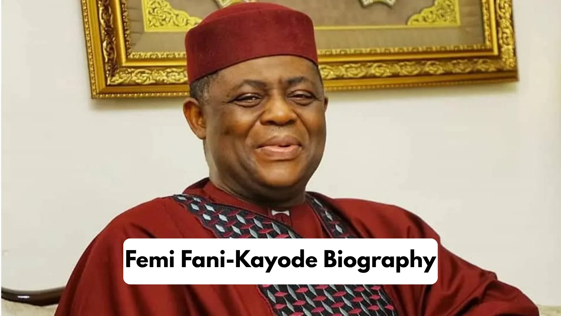 Femi Fani-Kayode Biography